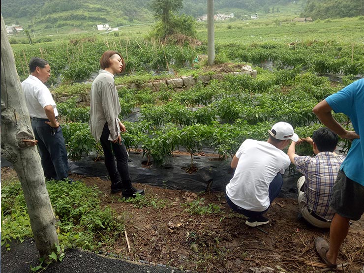 F88星宝(中国集团)官方网站