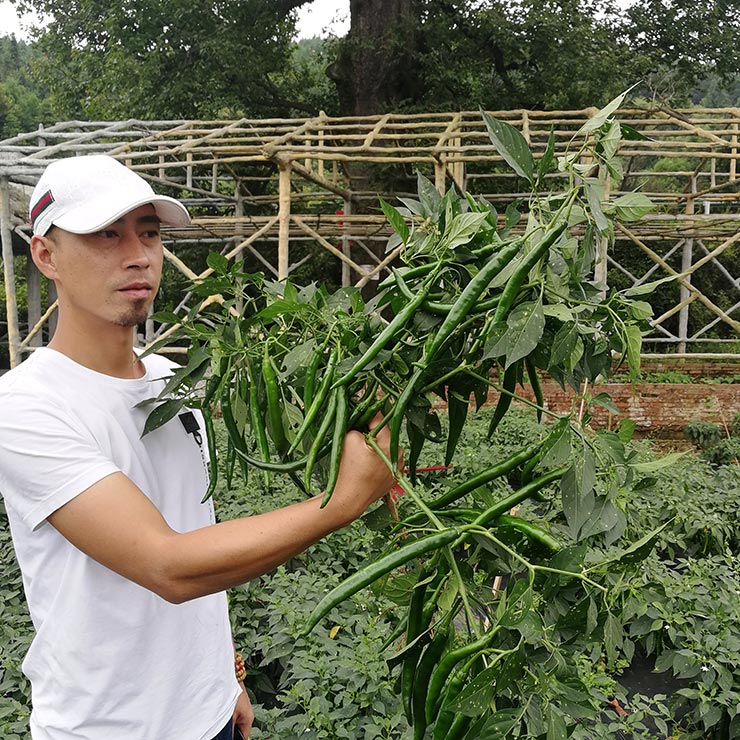 F88星宝(中国集团)官方网站