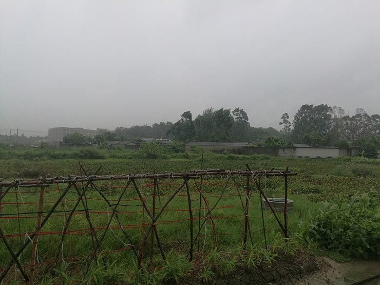 F88星宝(中国集团)官方网站