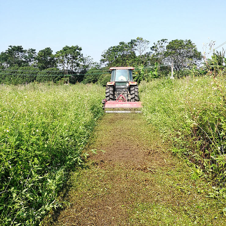 F88星宝(中国集团)官方网站