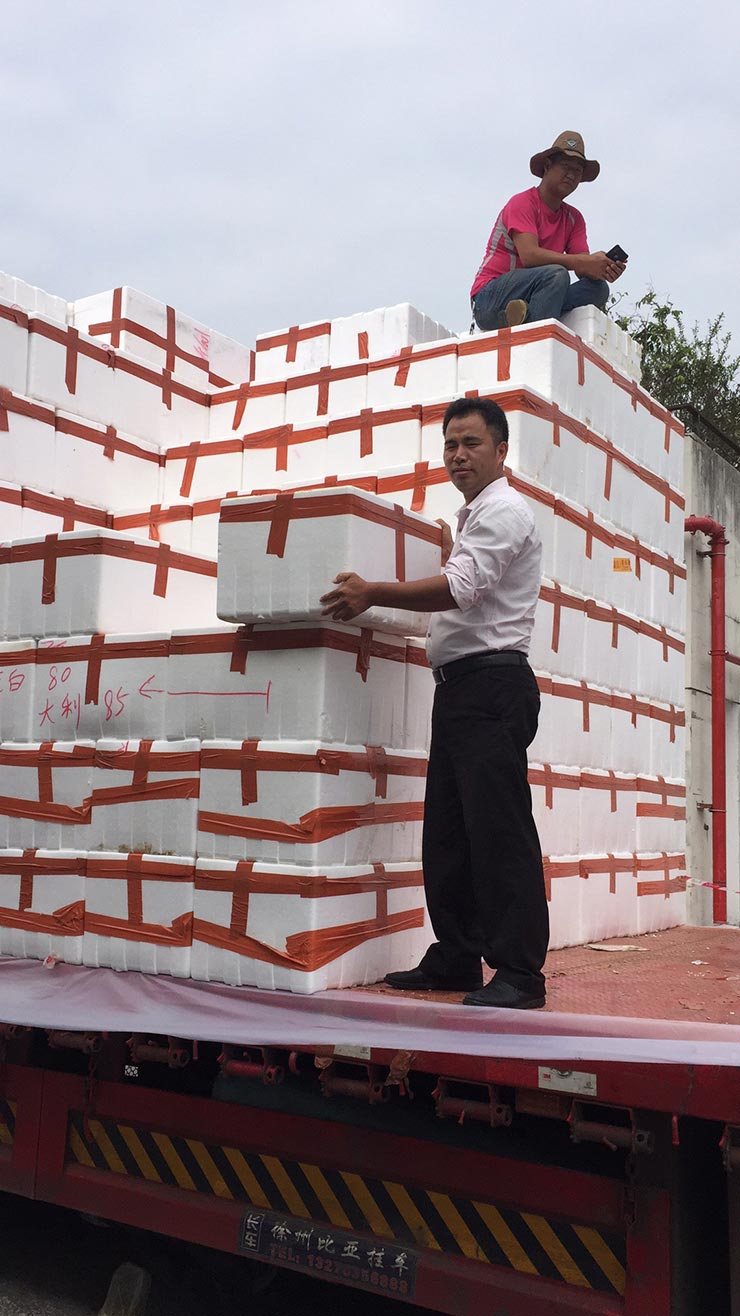 F88星宝(中国集团)官方网站