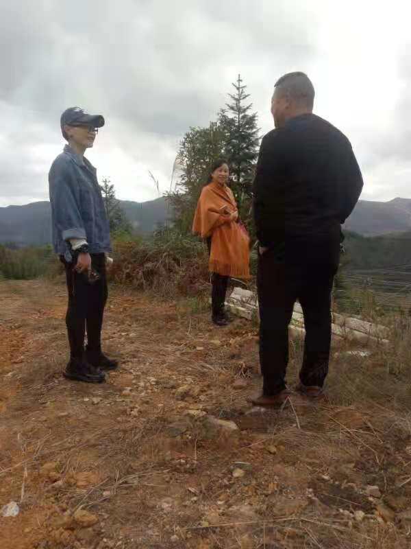 F88星宝(中国集团)官方网站