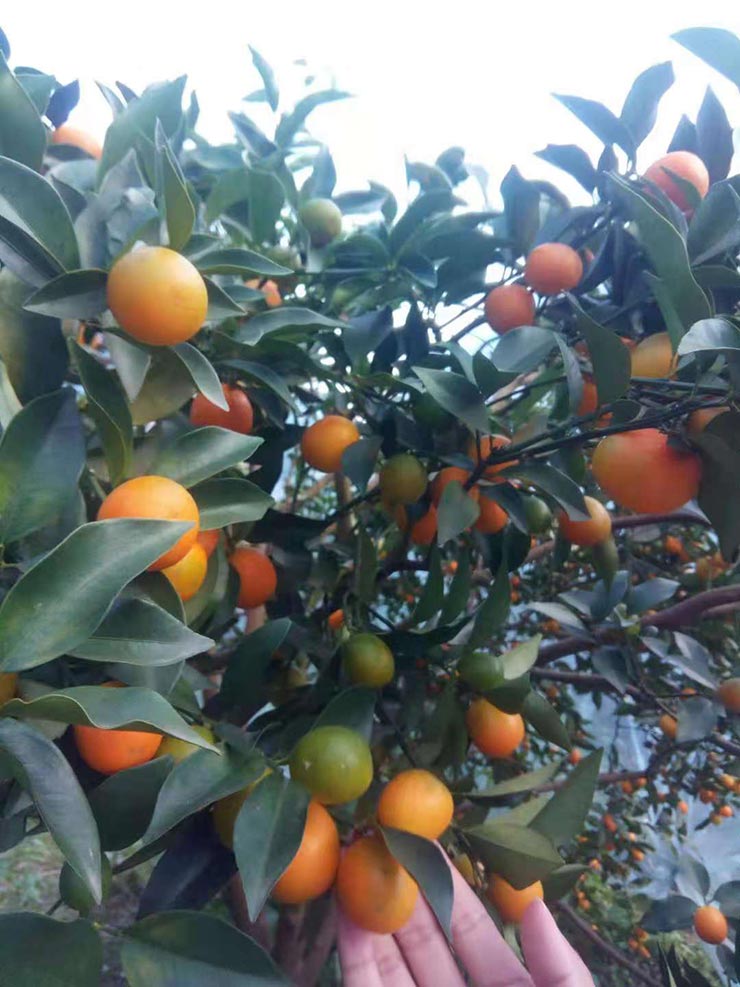 F88星宝(中国集团)官方网站