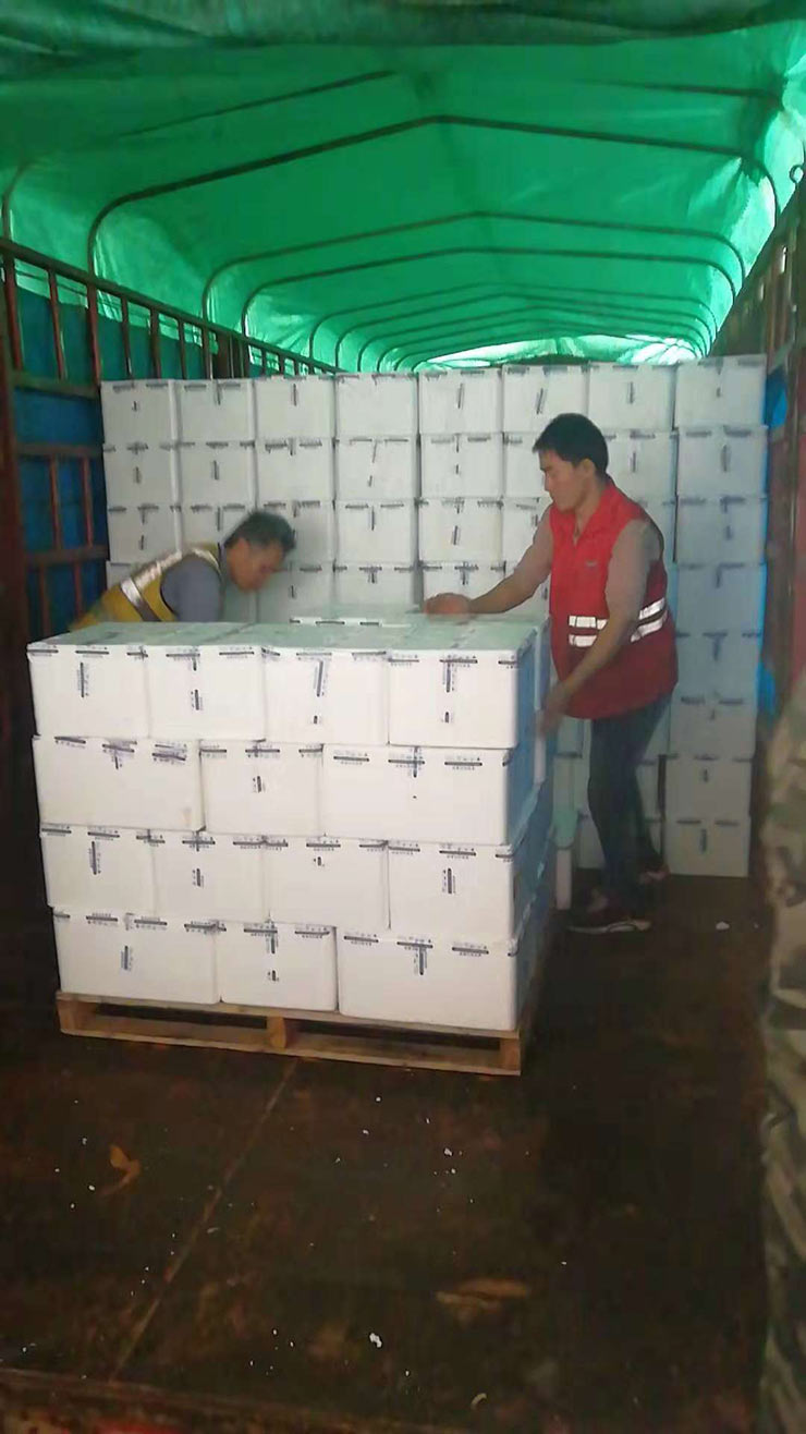 F88星宝(中国集团)官方网站