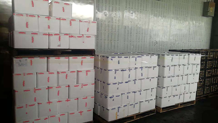 F88星宝(中国集团)官方网站