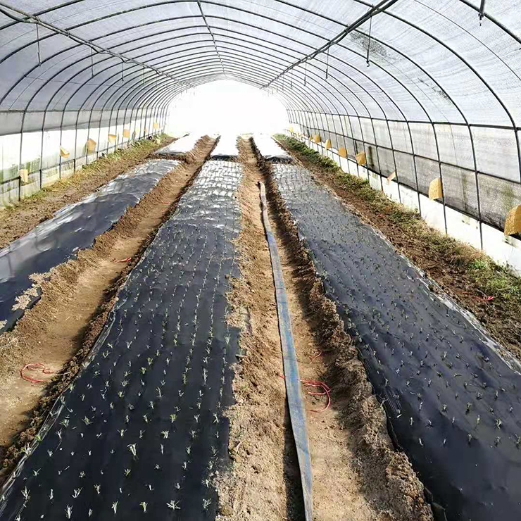 F88星宝(中国集团)官方网站