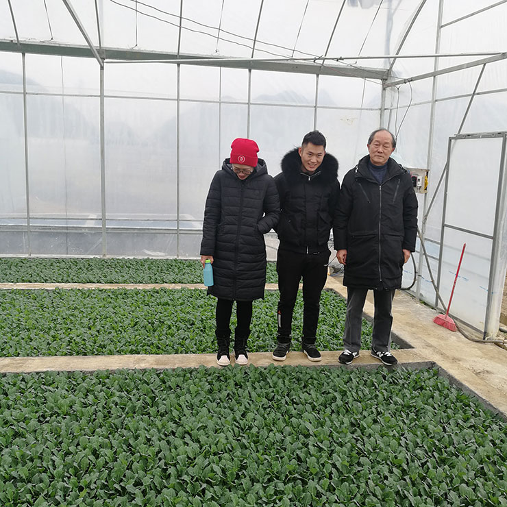 F88星宝(中国集团)官方网站