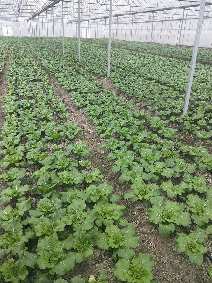 F88星宝(中国集团)官方网站