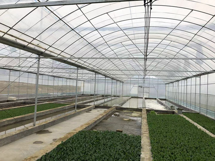 F88星宝(中国集团)官方网站