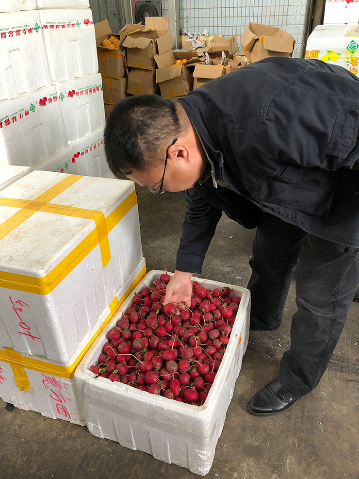 F88星宝(中国集团)官方网站