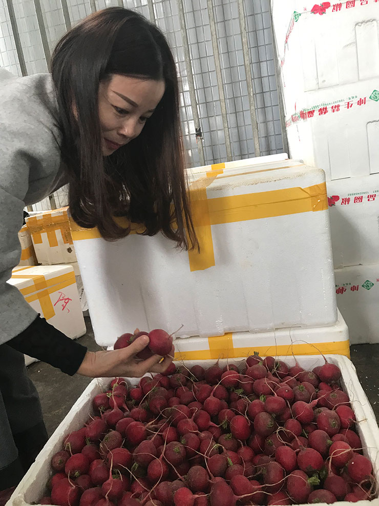 F88星宝(中国集团)官方网站