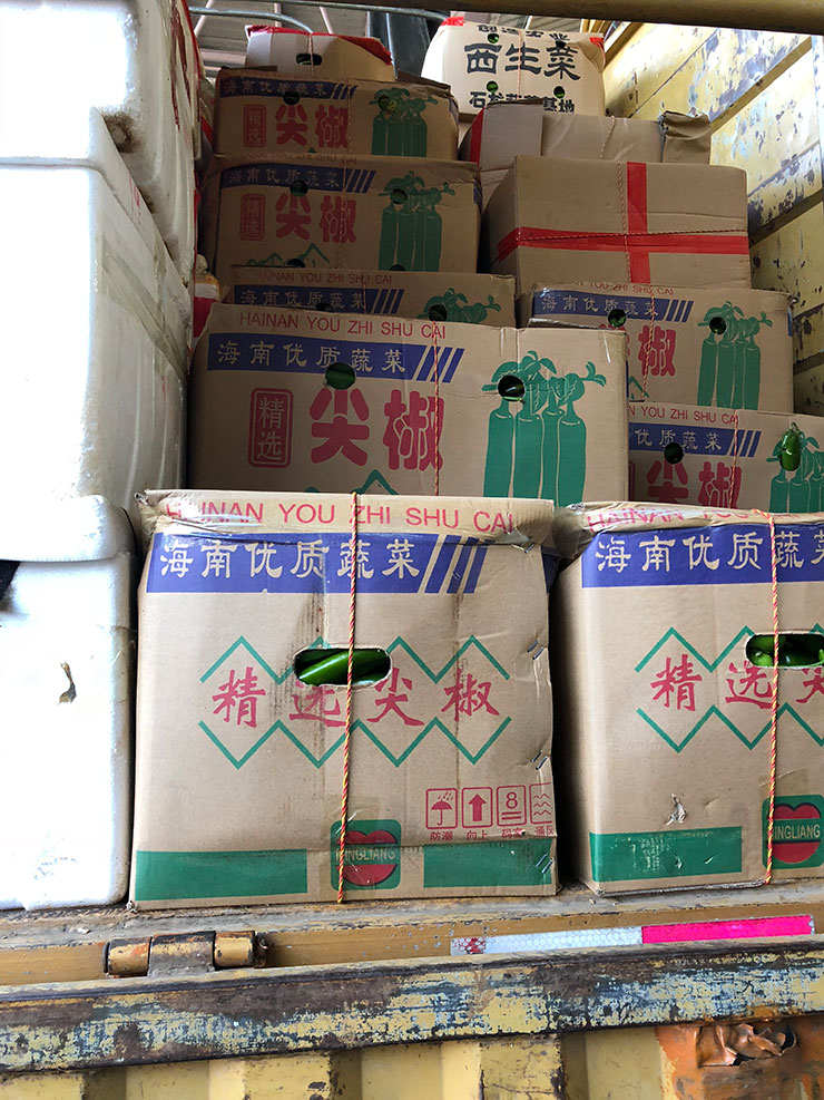 F88星宝(中国集团)官方网站