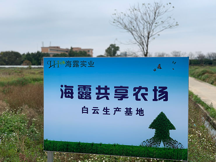 F88星宝(中国集团)官方网站