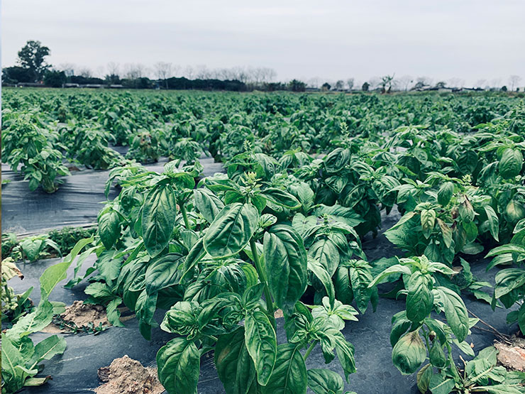 F88星宝(中国集团)官方网站