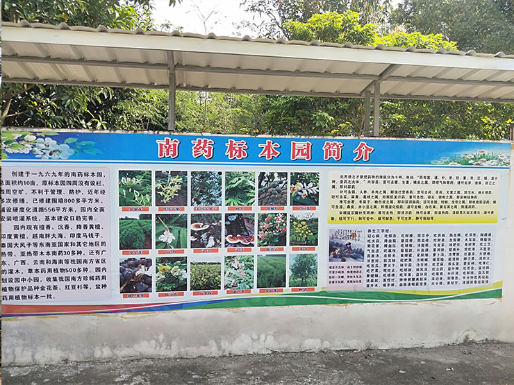 F88星宝(中国集团)官方网站