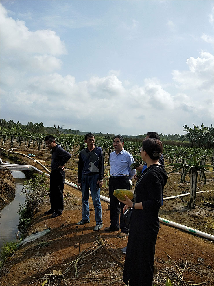 F88星宝(中国集团)官方网站