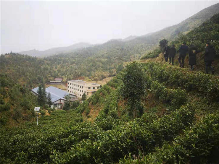 F88星宝(中国集团)官方网站