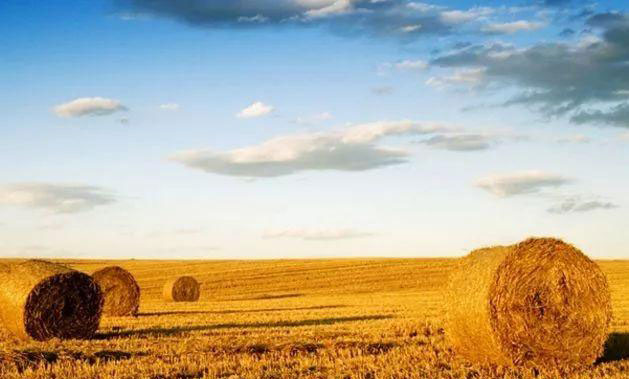 F88星宝(中国集团)官方网站