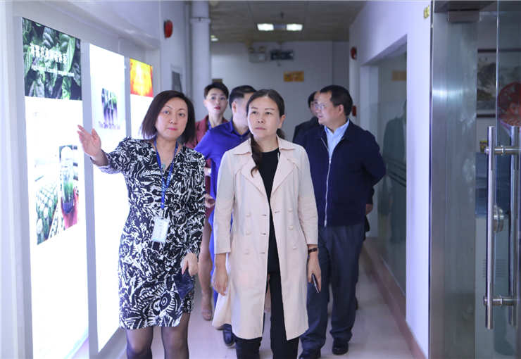 F88星宝(中国集团)官方网站