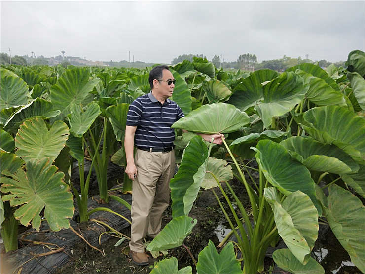 F88星宝(中国集团)官方网站