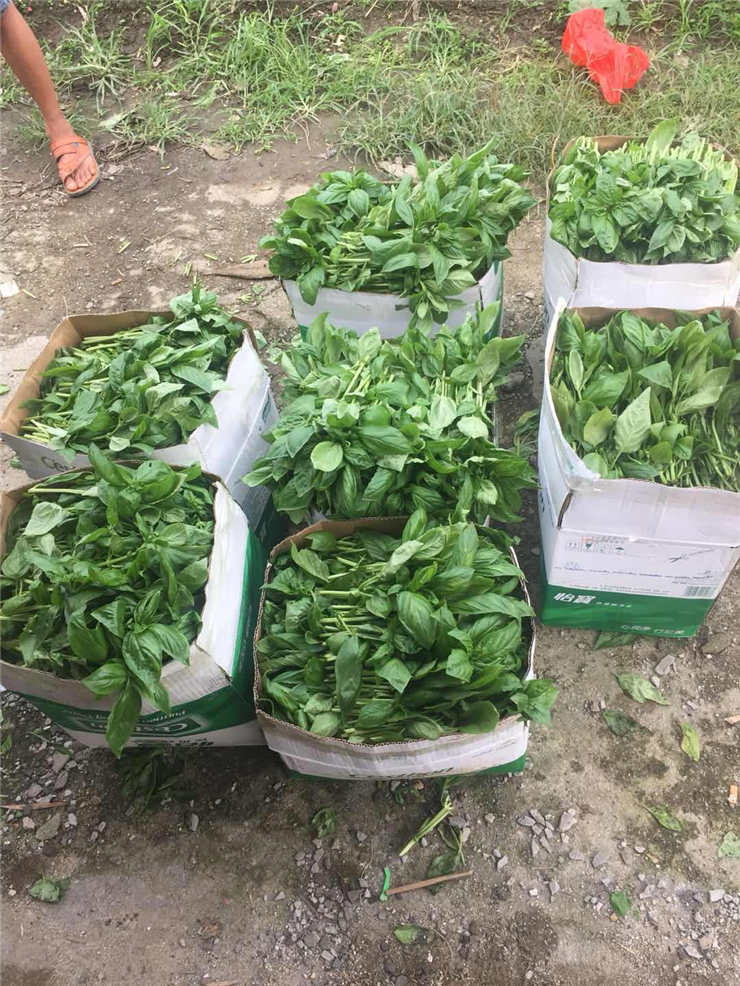 F88星宝(中国集团)官方网站