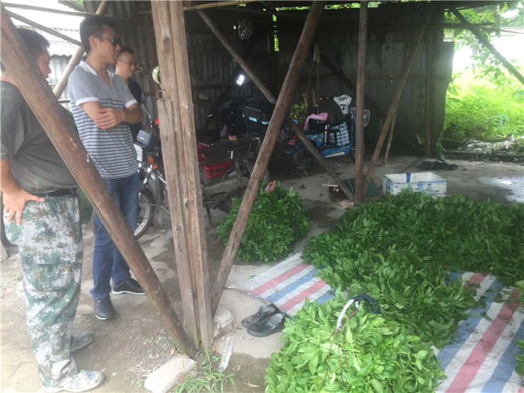 F88星宝(中国集团)官方网站