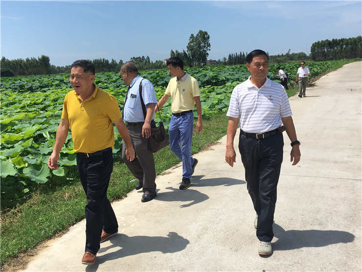 F88星宝(中国集团)官方网站