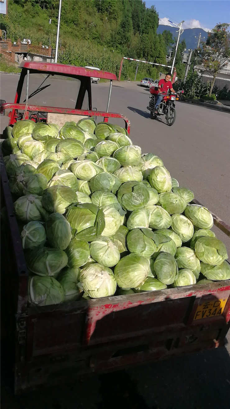 F88星宝(中国集团)官方网站