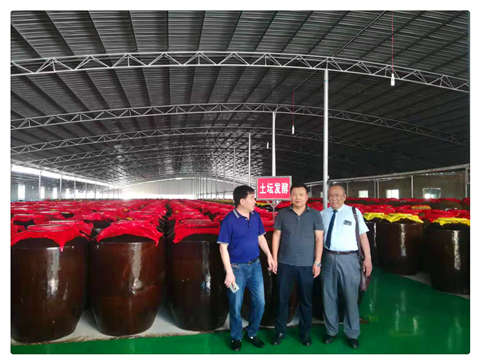 F88星宝(中国集团)官方网站