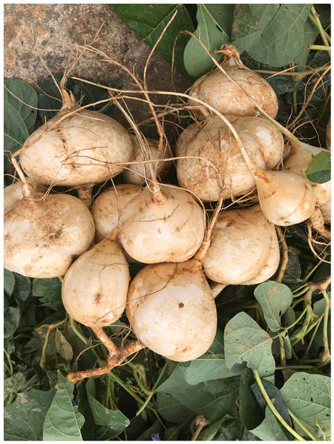 F88星宝(中国集团)官方网站