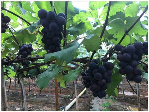 F88星宝(中国集团)官方网站