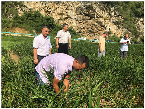 F88星宝(中国集团)官方网站