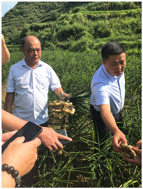 F88星宝(中国集团)官方网站