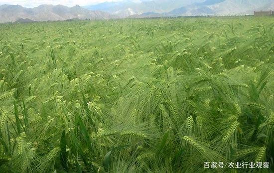 F88星宝(中国集团)官方网站