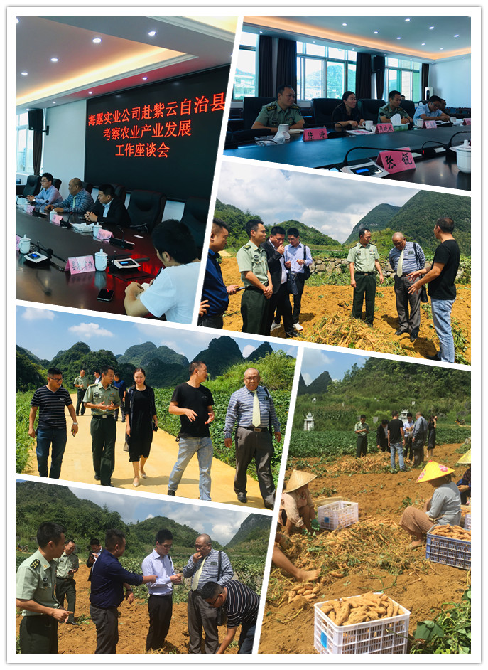 F88星宝(中国集团)官方网站