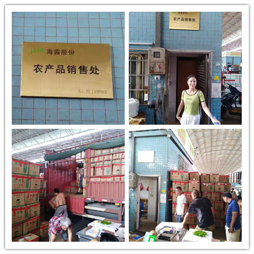 F88星宝(中国集团)官方网站