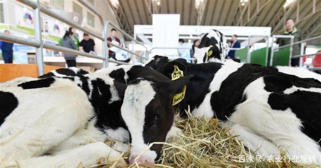 F88星宝(中国集团)官方网站