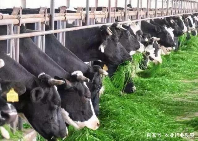 F88星宝(中国集团)官方网站