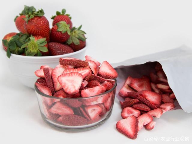 F88星宝(中国集团)官方网站