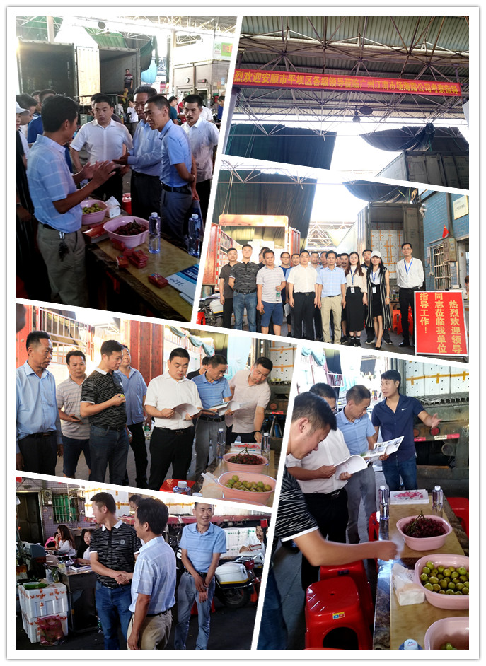 F88星宝(中国集团)官方网站