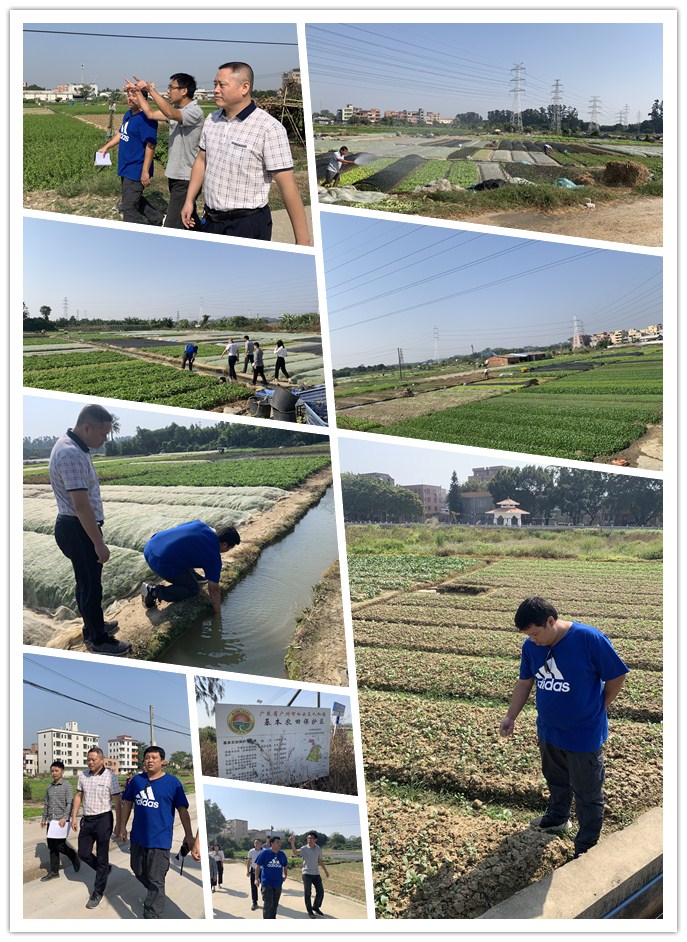 F88星宝(中国集团)官方网站