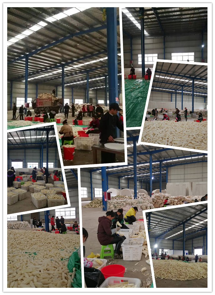 F88星宝(中国集团)官方网站