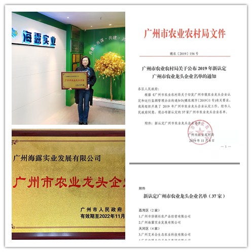 F88星宝(中国集团)官方网站