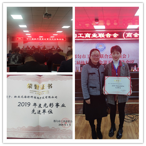 F88星宝(中国集团)官方网站