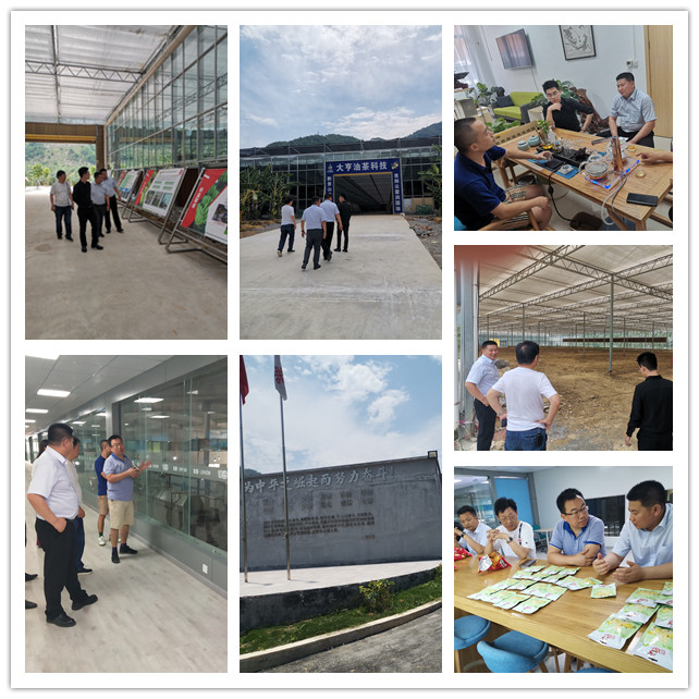 F88星宝(中国集团)官方网站