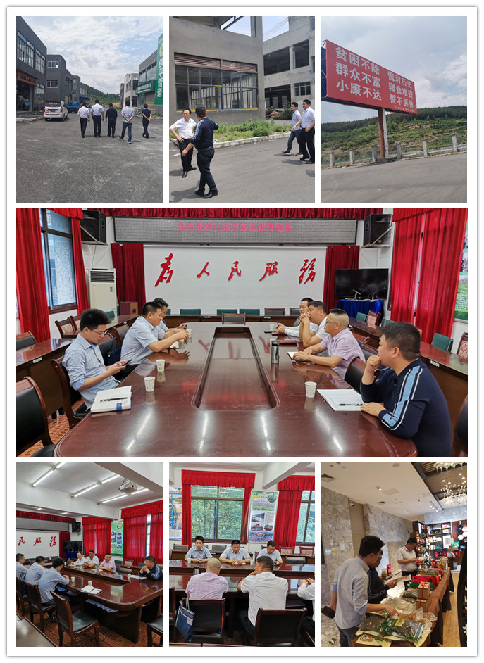 F88星宝(中国集团)官方网站