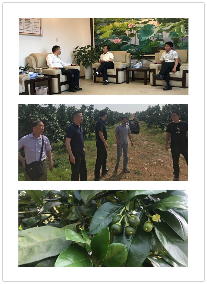 F88星宝(中国集团)官方网站