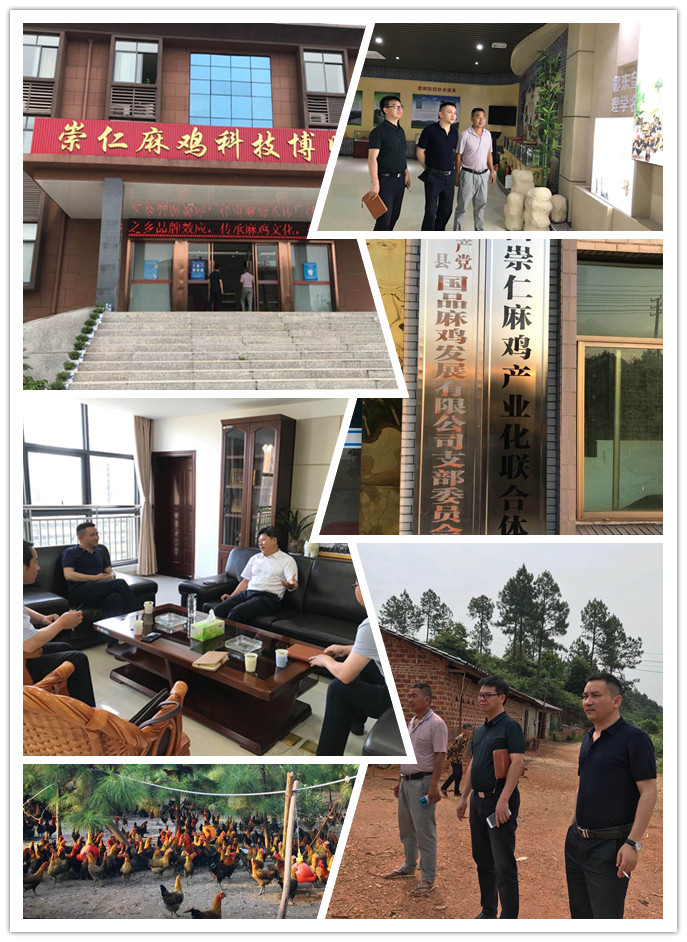 F88星宝(中国集团)官方网站