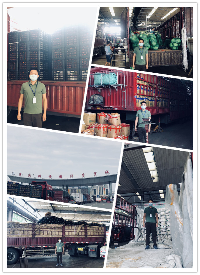 F88星宝(中国集团)官方网站