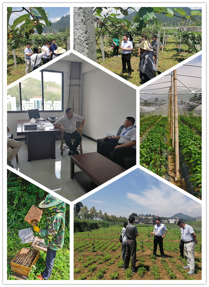 F88星宝(中国集团)官方网站